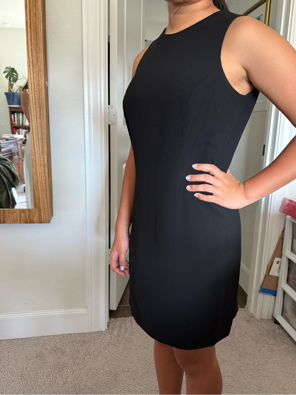 Classic Black Sleeveless Sheath Dress - Brand Unknown